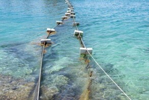 С пляжей Египта убирают сетки, сдерживающие акул