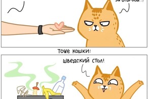 15 забавных комиксов от художницы, которая живёт в доме с четырьмя котами