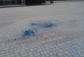 Адвокат Юлии Тимошенко стал Шреком (6 фото)