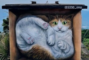 20 уличных произведений искусства, когда художников вдохновили котики