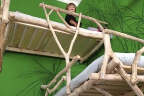 Отец сделал для сыновей кровать-чердак из дерева, которое они сами собрали в лесу