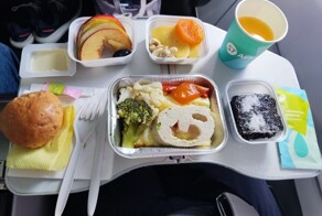 Как кормят на борту российских и других авиакомпаний