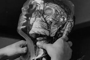 Проект «Боргхильд»: как фашистская Германия создала первую в мире секс-куклу