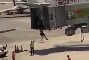 В Турции мужчины опоздали на рейс и попытались остановить самолет
