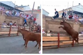 Мгновенная расплата: замученный толпой бык запрыгнул на трибуну