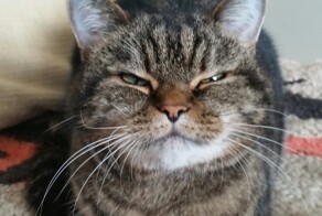 Эталонное презрение как оно есть