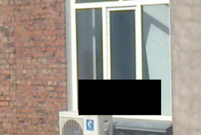 Жара сводит с ума (6 фото)