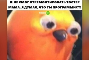 Тыжпрограммист умеет чинить принтер, настраивать телефон и взламывать сайты