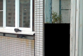 На балконе можно увидеть это! (3 фото + 1 видео)