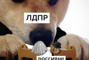 В ЛДПР решили импортозаместить Тиндер