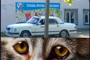 Йожика картинки Выпуск 363