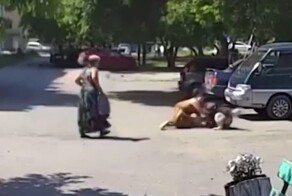 В Челябинской области мужчина спас женщину и маленькую собачку, на которых напал бездомный пёс