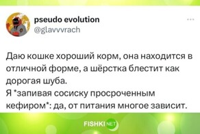 Подслушано: усатые твиты