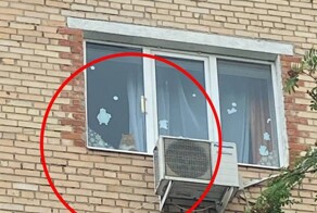 В Подмосковье кот заперся в квартире один, пока хозяева были на даче