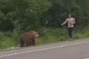 Бесстрашный житель Камчатки хотел покормить медведя из рук