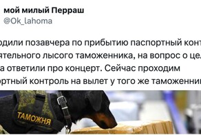 Ситуации с таможенниками, которые люди запомнили на всю жизнь