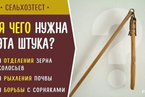 Деревенский тест для знатоков