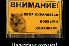 Весёлые и жизненные демотиваторы