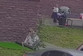 В Омске женщина с коляской украла рулон искусственного газона