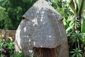 Люди-ткачи и их хижины-слоны