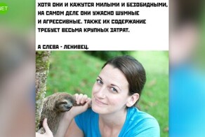 Комментарии и картинки из соцсетей. Свежак за 19 июля