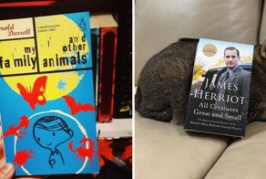 10 книг о реальных людях, чьи истории поражают уникальным жизненным опытом