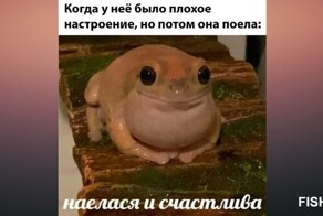 Комментарии и картинки из соцсетей. Свежак за 20 июля