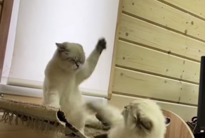 Да грянет бой!