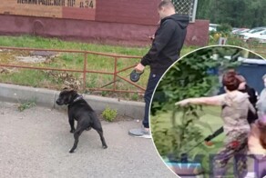 «Убери ружье, скотина старая»: в Ярославле женщина с винтовкой поскандалила с соседями из-за собак
