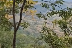 Видео о природе с легкой недосказанностью
