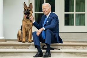 Овчарка Байдена покусала семь агентов Секретной службы