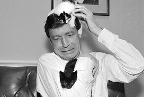 40 любопытных ретро-снимков с кошками
