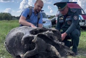 Останки мамонта нашли в Беларуси в Гомельской области