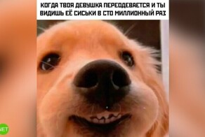 Комментарии и картинки из соцсетей. Свежак за 2 августа