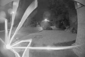 Паре из Англии ночью в дверь позвонил огромный паук
