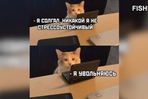 Комментарии и картинки из соцсетей. Свежак за 3 августа