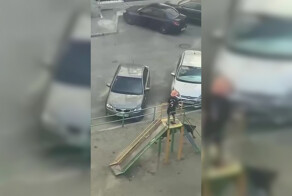 Две бродячие собаки загнали ребёнка на детскую горку