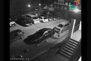 Жительница Новосибирска придумала необычный способ раздачи кабачков: раскладывая их на чужие авто