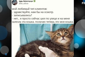 Собачники данный пост не оценят