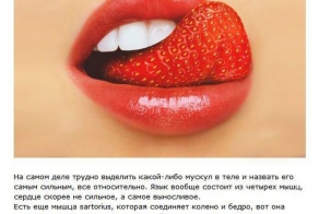 Интересные факты про известные мифы (11 фото)