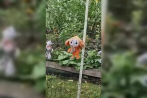 Даже чебурашка в шоке: жители Чертаново  пытались украсить двор, но получилось жутковато