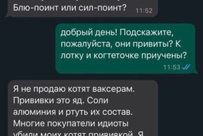 "Так и умрёте от вакцинации тупыми": мужчина хотел купить ребёнку котёнка - и наткнулся на противницу прививок