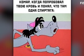 Комментарии и картинки из соцсетей. Свежак за 5 августа