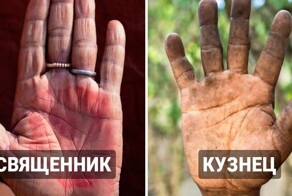 13 снимков, которые доказывают, что о человеке можно узнать очень многое, просто взглянув на его ладони