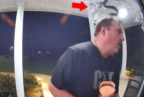 Змея притаилась на двери и укусила мужчину