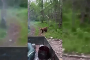 В приморском крае рыбаки засняли на видео как кормят медведей