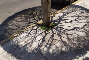 14 доказательств того, что природа умеет удивлять