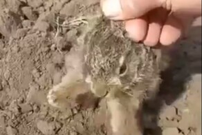 Ух ти какой