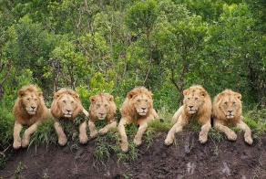 Лучшие фотографии от National Geographic за июль 2012 (43 фото)