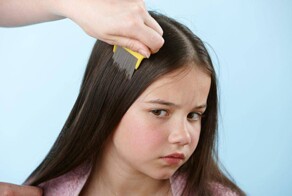 Мать отказалась травить вшей на голове дочери, потому что она веган и против убийства